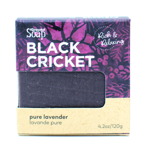 Black Cricket