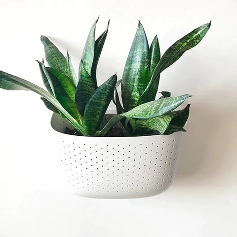 Eco Wall Planter-  White