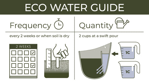 Eco Wall Planter-  White