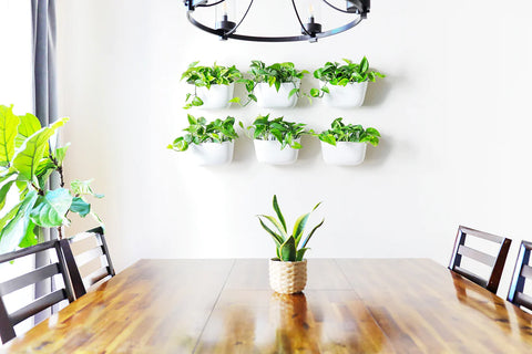 Eco Wall Planter-  White