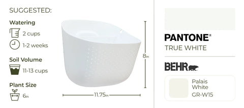 Eco Wall Planter-  White