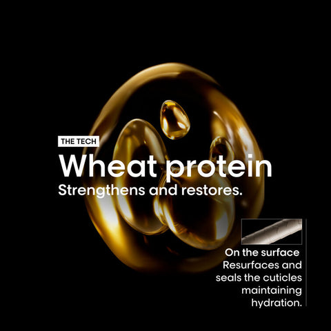 Absolut Repair Shampoo